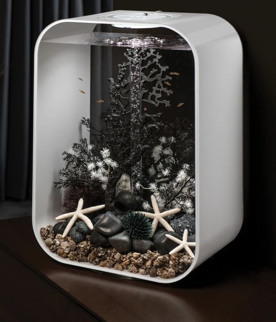 Desain Aquarium Mini di Kamar