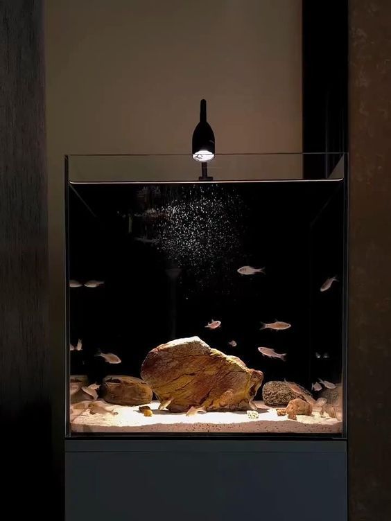 Desain Aquarium Mini di Kamar