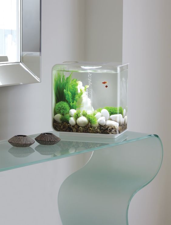 Desain Aquarium Mini di Kamar