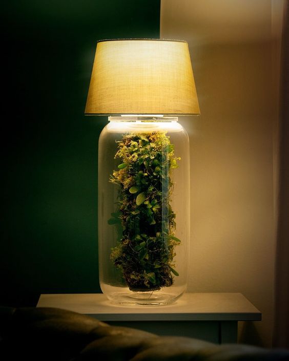 Desain Aquarium Mini di Kamar