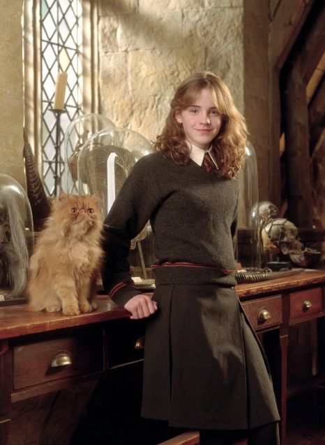 Apa Nama Kucing Milik Hermione