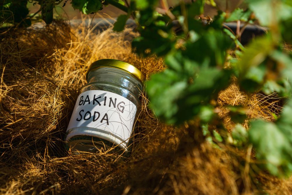 Baking Soda untuk Membersihkan Kerak pada Setrika