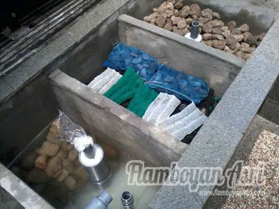 Cara Membersihkan Kolam Ikan Tanpa Menguras