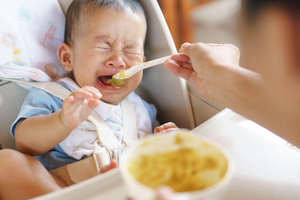 Snack Bayi Usia 6 Bulan - Cereal Bayi