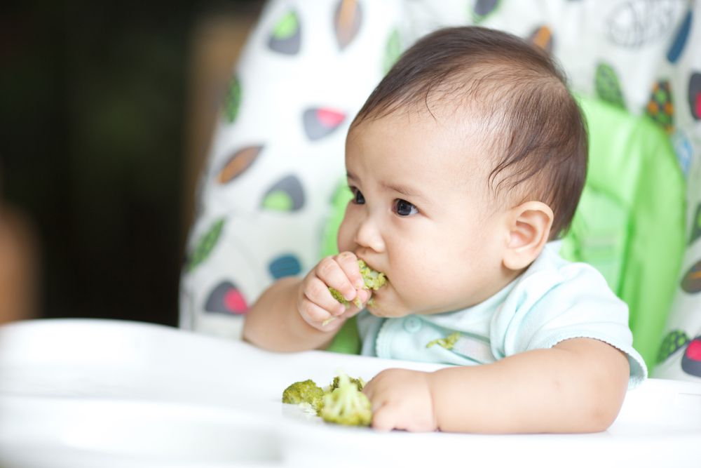 Snack Bayi Usia 6 Bulan - Potongan Sayur atau Buah