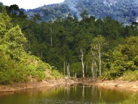 Tempat Wisata di Payakumbuh - Danau Aia Sonsang