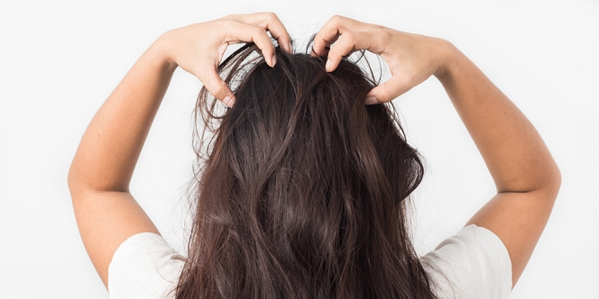 9 Cara Menghilangkan Kutu Rambut dan Telur Secara Alami, Permanen dengan Cepat
