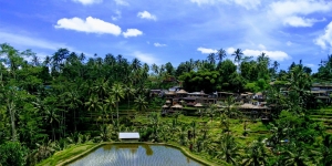 Memburu Ketenangan di Ubud - Bali