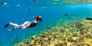 Snorkeling Sambil Tetap Menjaga Laut: Sebuah Tips Untuk Pemula