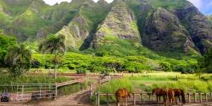 Mengenal Kualoa Ranch, Surga Dunia yang Dijaga Turun-Temurun