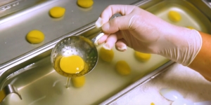 Menu Telur Buatan untuk Para Vegan, Apakah Sama Enaknya?