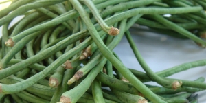 14 Manfaat Kacang Panjang Mentah dan Daunnya untuk Payudara 
