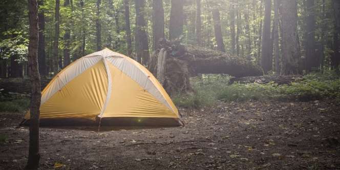 5 Cara Unik dalam Berkemah, dari Bergantung di Atas Pohon hingga Tidur dalam Kaleng