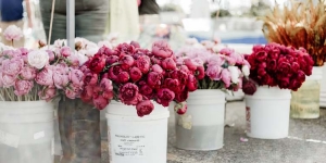 Tak Hanya Mawar, Beberapa Bunga Ini Memiliki Makna yang Unik untuk Hadiah Valentine 