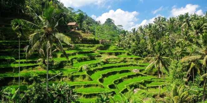 5 Desa Wisata yang Menarik di Pulau Jawa, dari Pujon Kidul sampai Tembi