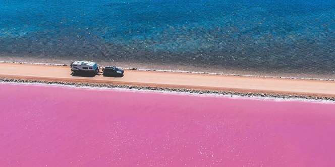 Keindahan Danau Pantai MacDonnell, Pantai Pink yang Terbelah Menjadi Dua