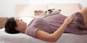 Bulu Kucing Dapat Menyebabkan Masalah Kehamilan, Mitos atau Fakta?