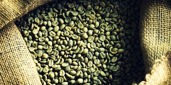 16 Manfaat Green Coffee Bean dan Efek Sampingnya 