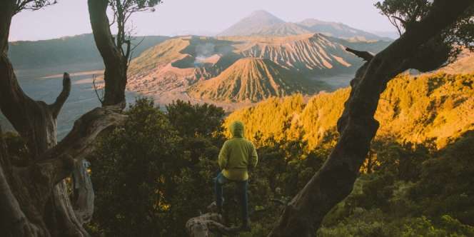 10 Tempat Wisata Pasuruan Jawa Timur termasuk Bhakti Alam, Kebun Kurma, dan Saigon