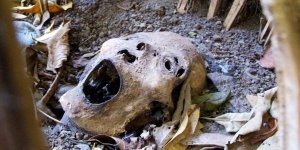 Desa Trunyan, Tradisi Pemakaman Jenazah yang Digeletakan Begitu Saja, Apa Nggak Bau Busuk?