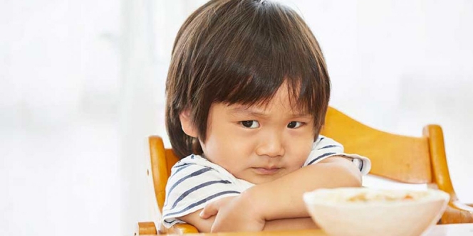 12 Cara Mengatasi Anak Susah Makan Nasi dan Minum Susu Usia 1 Tahun dan 16 Bulan