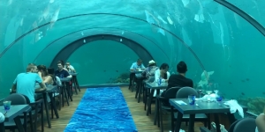 Yuk ke Restoran Hurawalhi Maldives, Menyantap Makanan Sambil Melihat Pemandangan di Bawah Laut