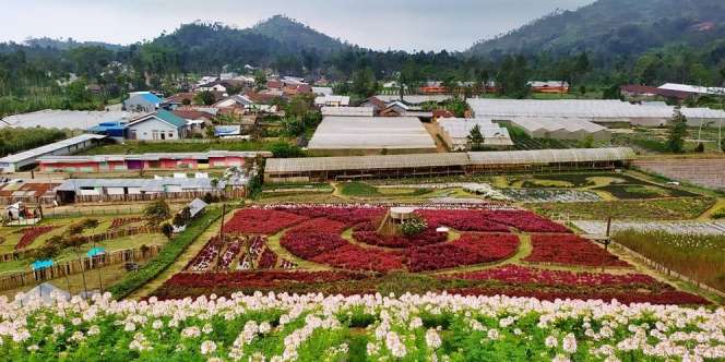 12 Tempat Wisata Purbalingga dan Purwokerto Jawa Tengah yang Terbaru