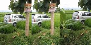 Mengira Parkir Depan Warung, Tau-Tau Mobil Ini Malah Ada di Tengah Sawah