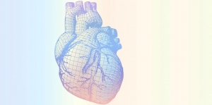 Badan Gemuk atau Kurus Sama-Sama Beresiko Serangan Jantung, Kenapa Ya?