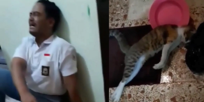 Sedih Banget, Cowok Ini Menangis Deras setelah Tahu Kucingnya Mati Kejang-Kejang