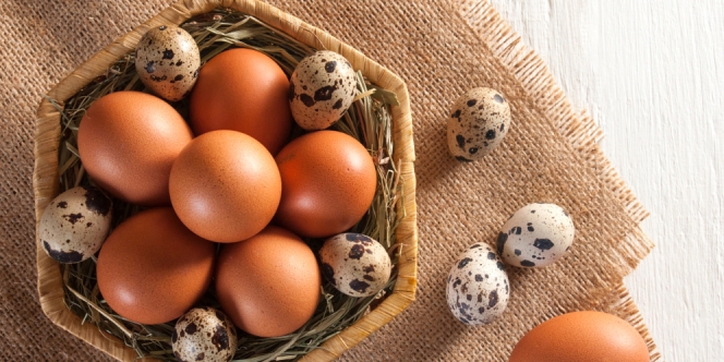 10 Manfaat Telur Puyuh untuk Kesehatan, Cocok Buat yang Alergi Telur Ayam