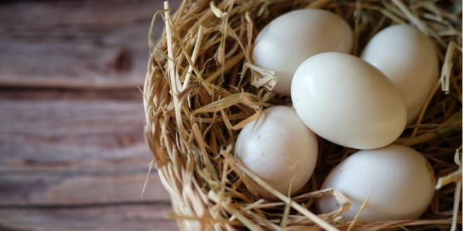 12 Manfaat Telur Bebek, Biar Amis Nutrisinya Nggak Kaleng-Kaleng Lho