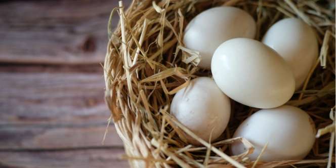 12 Manfaat Telur Bebek, Biar Amis Nutrisinya Nggak Kaleng-Kaleng Lho