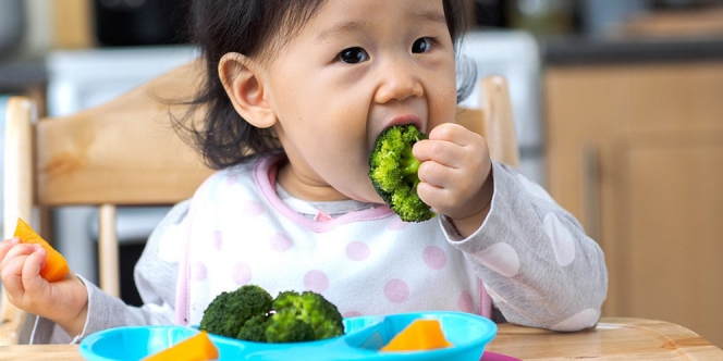 14 Makanan Bayi 10 Bulan yang Sehat, Bergizi dan Bisa Menambah Berat Badan Bayi