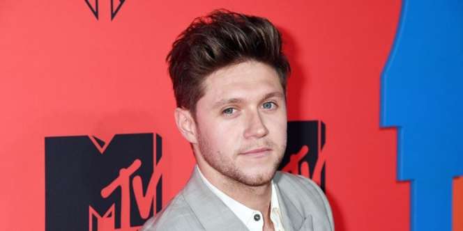 Bukannya Berkurang Fobianya Niall Horan, Malah Dapet Kotoran Burung di Belakang Lehernya