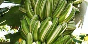 Rachel Vennya Populerkan Pisang Varigata, Pisang Unik dengan Corak yang Cantik