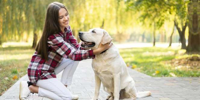 Perempuan Pencinta Anjing Ternyata Sosok Pasangan Idaman, Sikat Nggak nih?