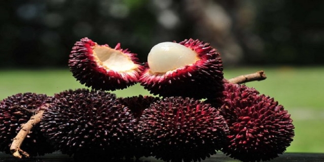 Kalimantan Punya Buah Unik, Rambutan Tak Berambut yang Mulai Langka