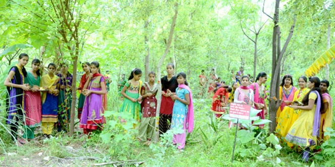 Setiap Bayi Perempuan lahir, Penduduk Desa Ini Wajib Tanam 111 Pohon! Biar Apa nih?