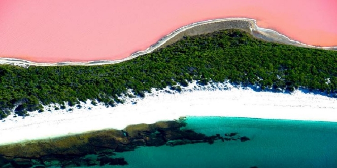 Bukan Editan, Warna Danau Ini Pink Kayak Milkshake Stroberi! Boleh Disruput Gak, nih?