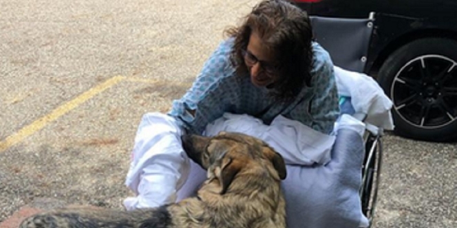 Kisah Pilu Seorang Gadis yang Harus Kehilangan Kaki dan Tangannya karena Sering Dijilati Anjingnya