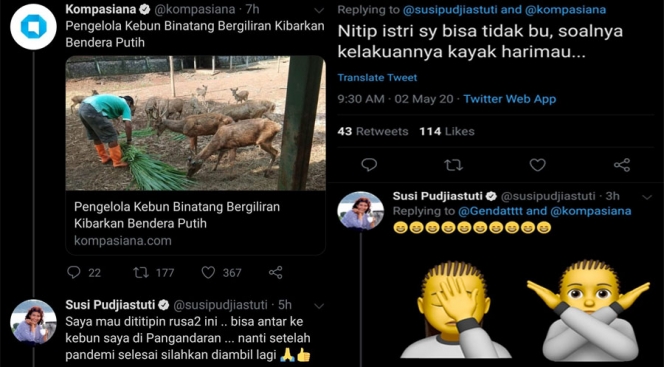 Bu Susi Bolehkan Kawanan Rusa Dititipkan di Kebunnya, Netizen: Nitip Istri Saya ya, Mirip Harimau!