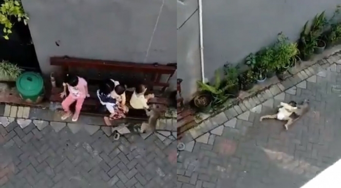 Video Bocil Diseret ke Jalanan Komplek oleh Topeng Monyet, Dikira Pisang Apa ya?