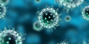 Pengertian Virus HPV, Zika, Herpes, dan CMV