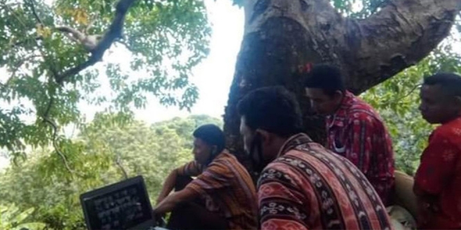 Perjuangan Kades di Daerah Susah Sinyal, Terpaksa Panjat Pohon Tinggi Demi Bisa Rapat Online