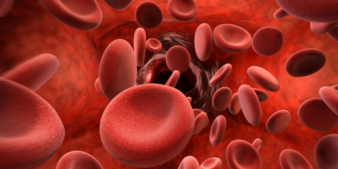 Pentingnya Mengenal Fungsi Hemoglobin Serta Kadar Normalnya dalam Tubuh