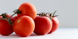Dianggap Beracun, Ternyata Tomat Adalah Makanan yang Sempat Ditakuti Selama 200 Tahun