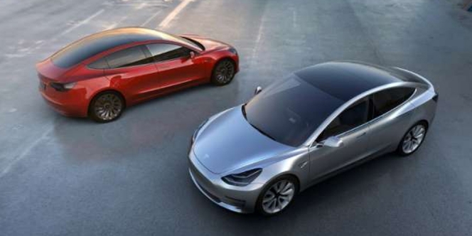 Gara-Gara Salah Pencet, Pria Ini Gak Sadar Borong 28 Unit Mobil Tesla Senilai 22 M Sekaligus!