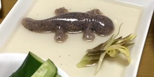 Salamander Berkuah, Makanan Unik yang Lagi Populer di Jepang