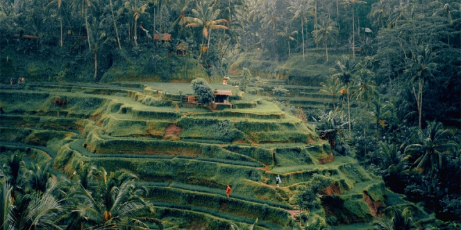 Lagi, Ubud Bali Masuk dalam Daftar 25 Kota Terbaik di Dunia